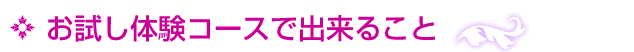 お試しコースで出来ること